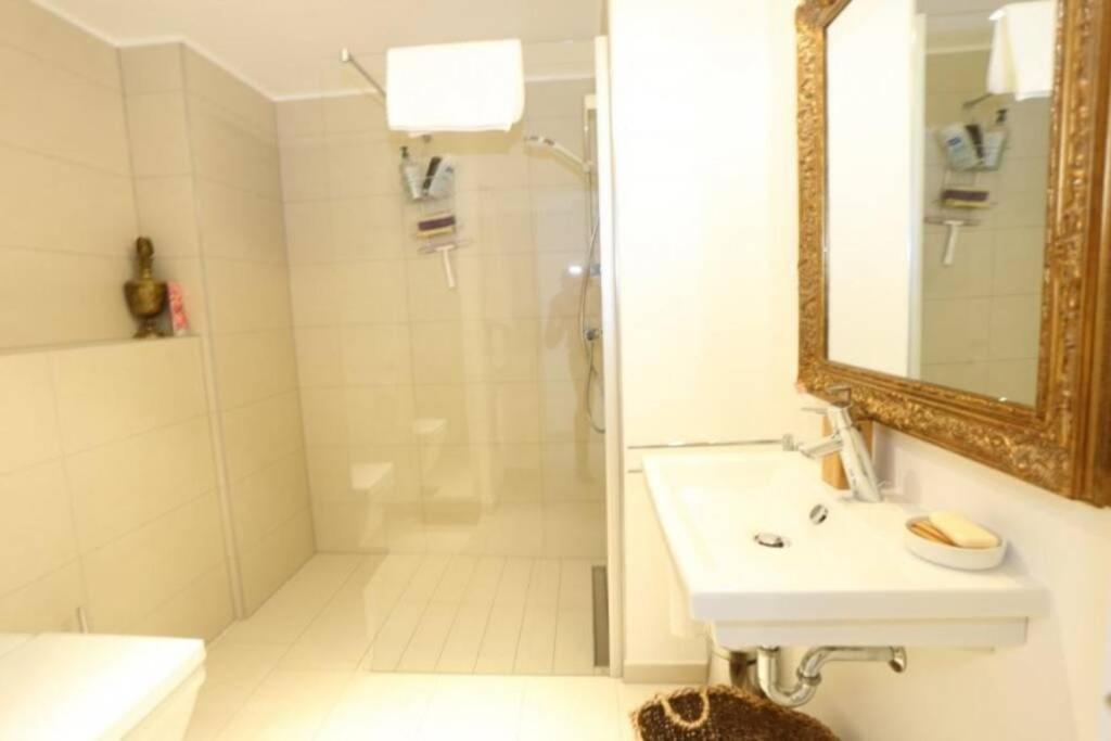Large Family Retro Flat In City Center- Large Terrace & Garden View, Free Parking Luxembourg Eksteriør bilde