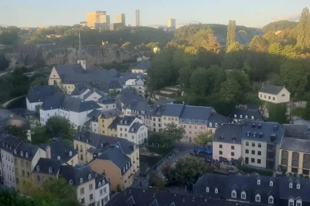 Large Family Retro Flat In City Center- Large Terrace & Garden View, Free Parking Luxembourg Eksteriør bilde