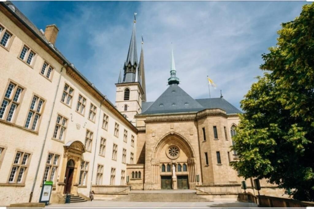 Large Family Retro Flat In City Center- Large Terrace & Garden View, Free Parking Luxembourg Eksteriør bilde